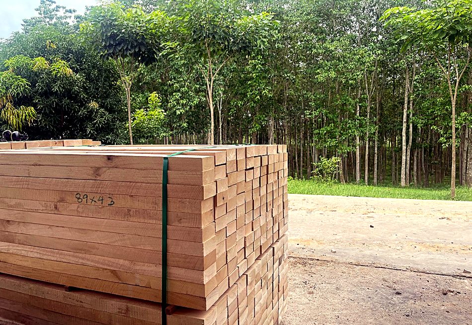 Paquete de madera dimensionada de Macondo